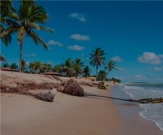 ônibus saindo da Rodoviária de Aracaju para Salvador
